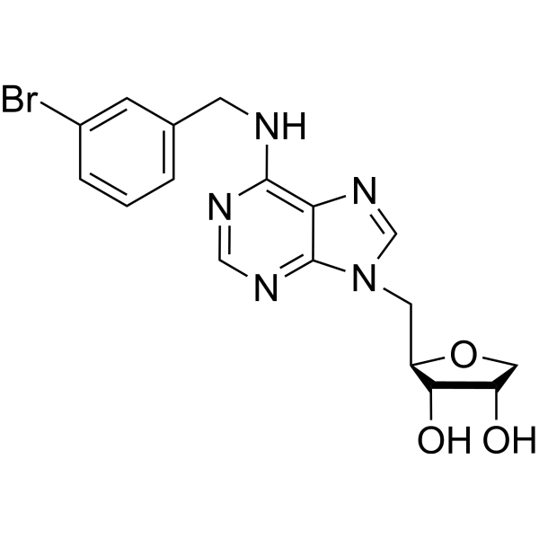 Anti-inflammatory agent 58
